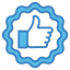 icon